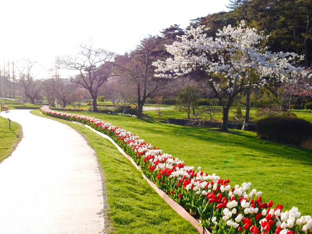 はままつフラワーパーク