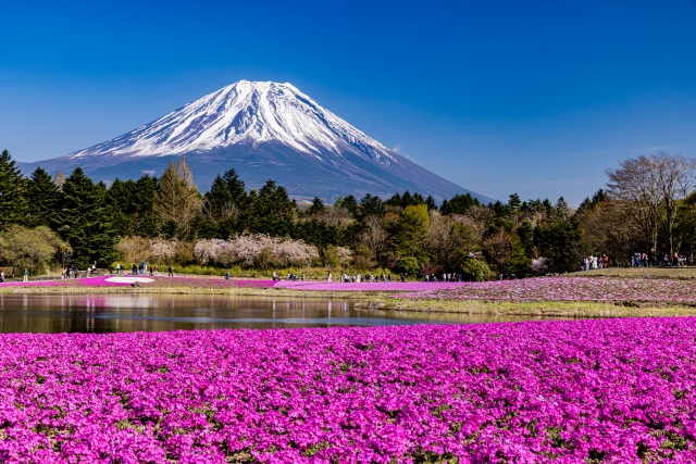 静岡で行きたいゴールデンウィークイベント2026おすすめ7選｜各イベントの詳細をチェック！