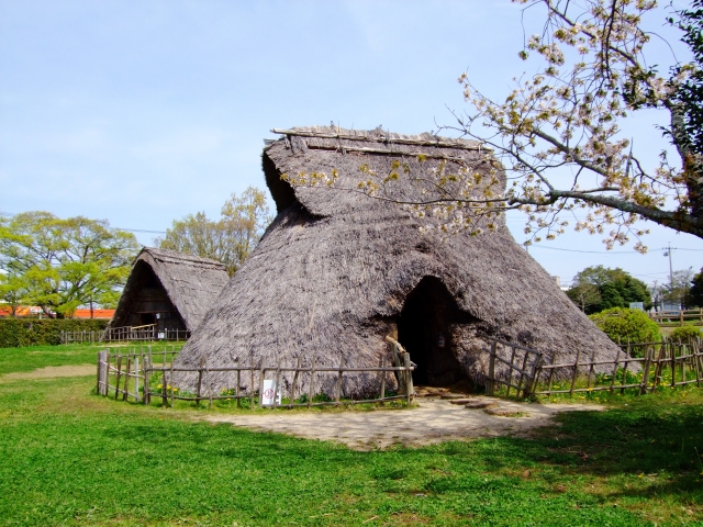 蜆塚公園を120%楽しむための完全ガイド！歴史と自然を満喫する散策のコツ